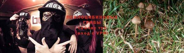 метадон Белокуриха