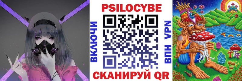наркошоп  Валуйки  Галлюциногенные грибы Psilocybe 